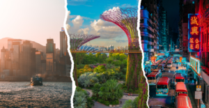 singapore family office