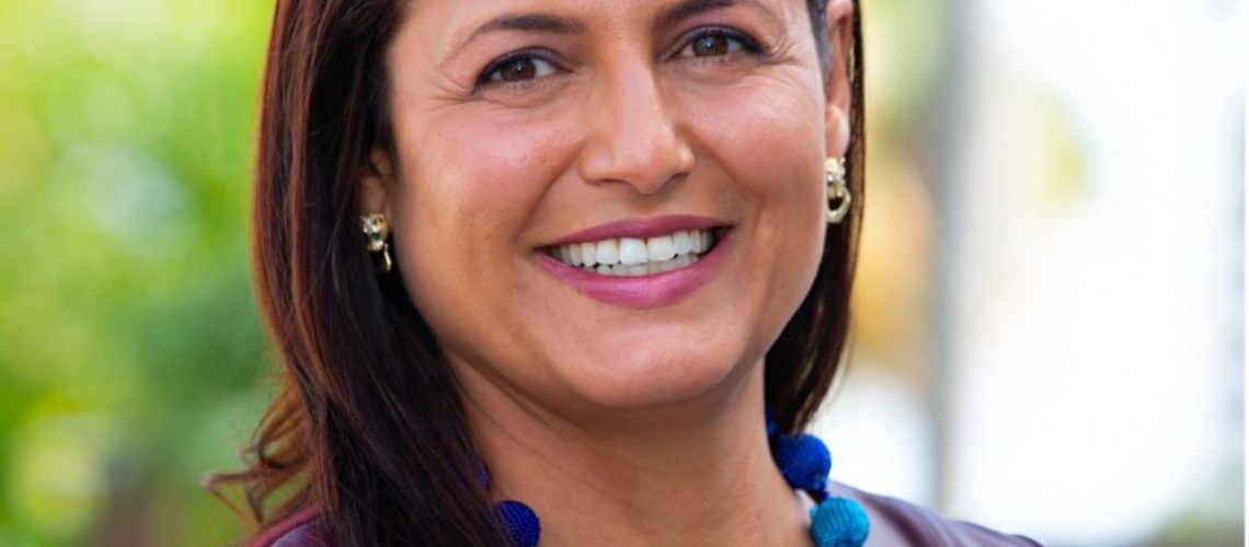Senior Vice President Nabiha "Nina" Das is spearheading Viper's new Aesthetics Division (PRNewsfoto/Viper Equity Partners)