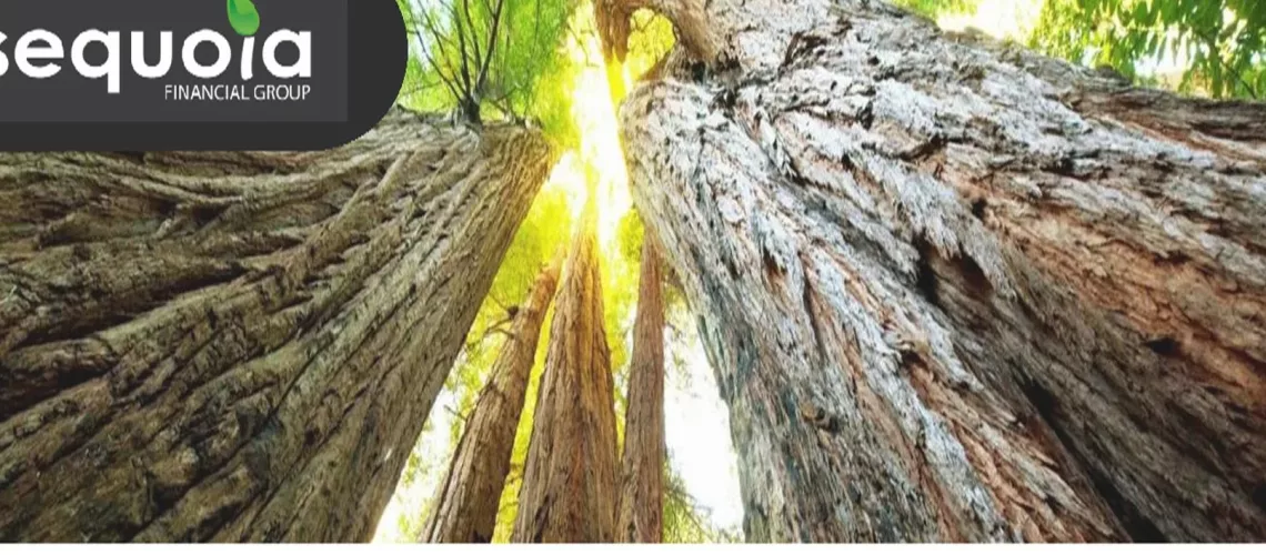 Pres_Sequoia_360_200820