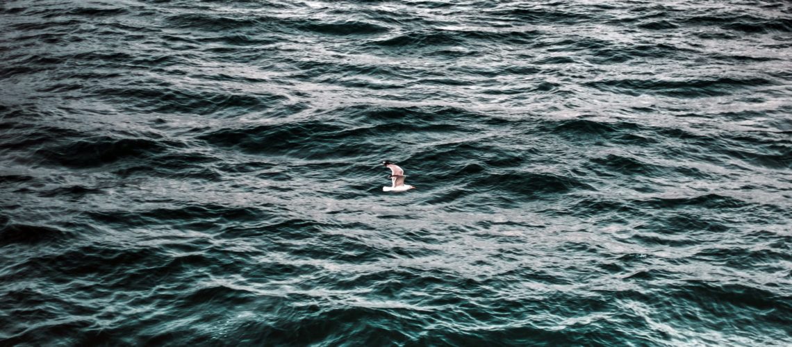 maria-teneva-mo62s5dp0zg-unsplash